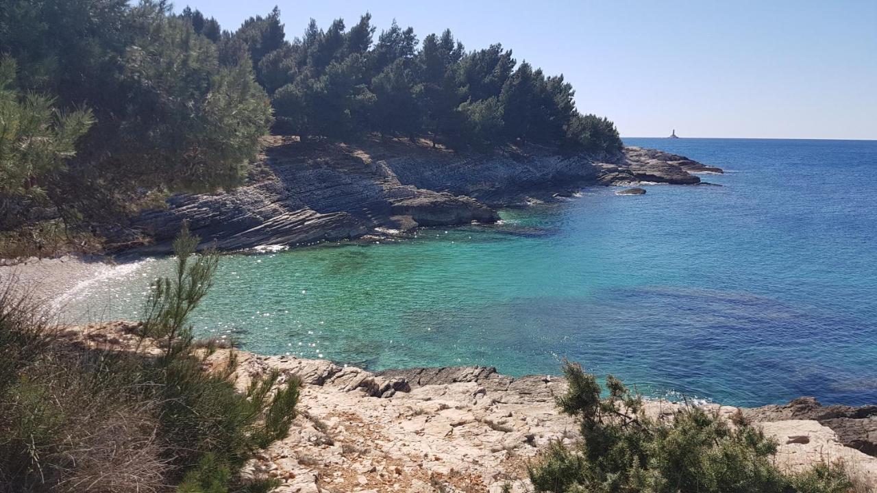 Apartman Luka Banjole Bagian luar foto